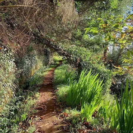 Casa Da Tia Maria بيت للعطل Gaula